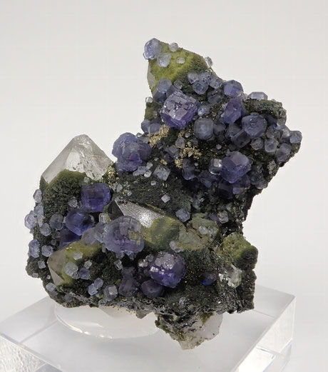 Lilac Panasqueira Fluorapatite