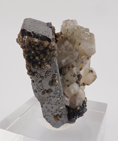 Top Panasqueira Cassiterite