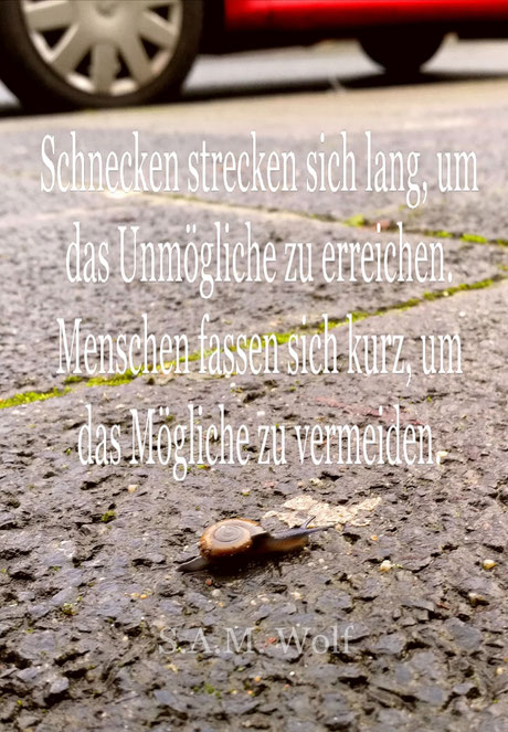 sam wolf-Autorin-Simone Müller-Sprüche-Weisheiten