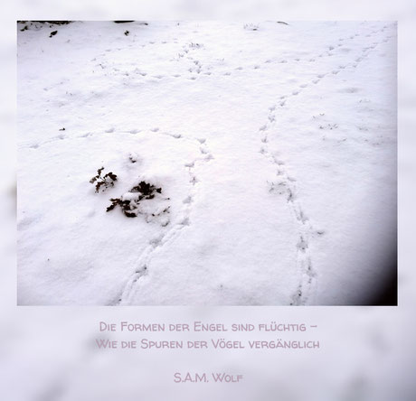 sam wolf-Autorin-Simone Müller-Sprüche-Weisheiten