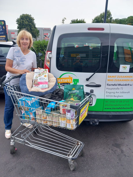 Spendenkorbleerung Kaufland_ Foto_Linke