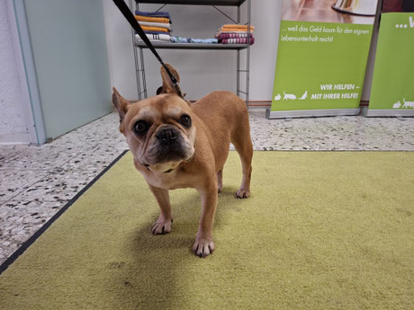 2025_08_15_ Lotti_Foto:Oetken