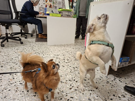 2025_12_05_ Foto: Oetken