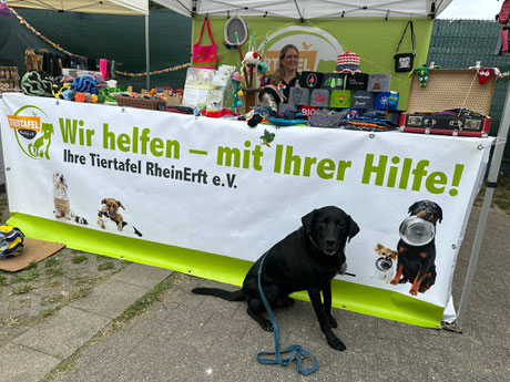 2025_08_17_Sommerfest_Tierheim Dormagen_Foto: Plück