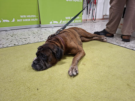2025_07_26_ Futterausgabe_Foto: Oetken
