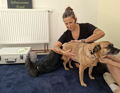 19.0.2026 Physio bei Tina_Foto:Oetken