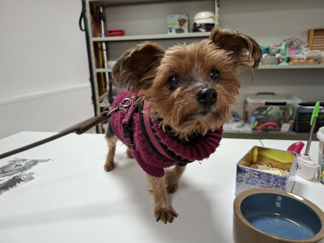 Mia, Foto: Oetken