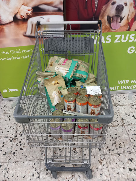 Futterspende vom Benefiz Hundespaziergang. Foto: Linke