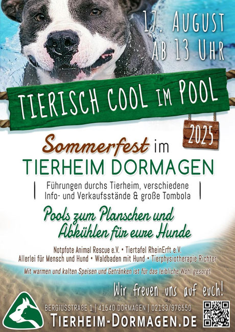 Plakat Tierheim Dormagen