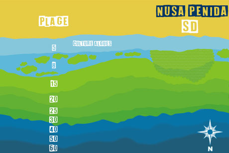 Carte du site de plongée SD sekola dasar à Nusa Penida