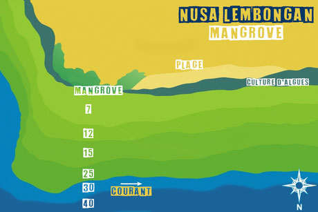 Carte du site de plongée de Mangrove à Nusa Lembongan