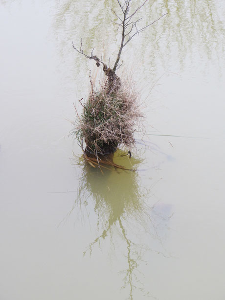 ehemals  Uferbefestigung der Spree
