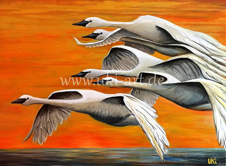 verkauft - Schwäne im Flug, Acryl auf Leinwand, 70 x 100 cm
