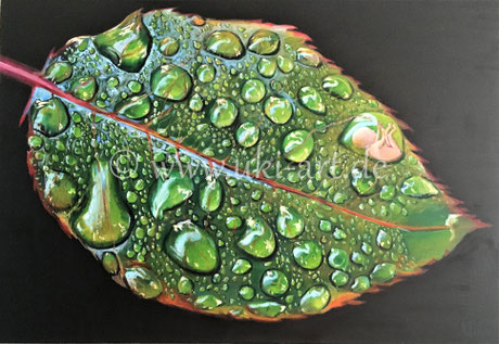 verkauft: Wasser ist Leben, Acryl auf Leinwand 70 x 100 cm