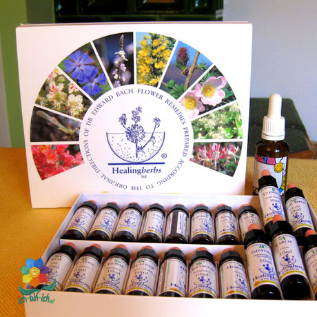 Bachblüten-Box und Fläschchen
