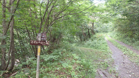 登山道入り口の標識