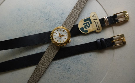 第４０回　ROLEX・・・ではなくリコーのカメレオン