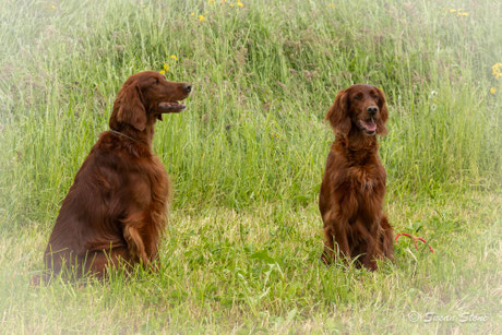 Rasmus & Meggy