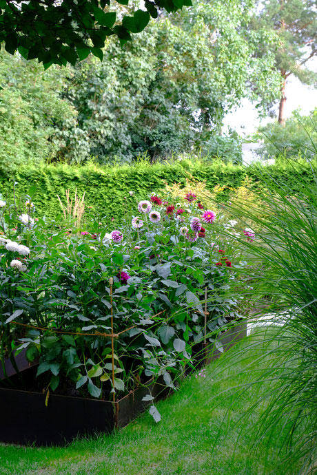 dieartigeGARTEN // August Garden - high beds with dahlias / Knie-Hochbeete mit Dahlien