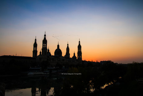 Zaragoza, arquitectur, basilica del pilar, el pilar, rio ebro, aragón, fiestas del pilar, paisaje, atardecer