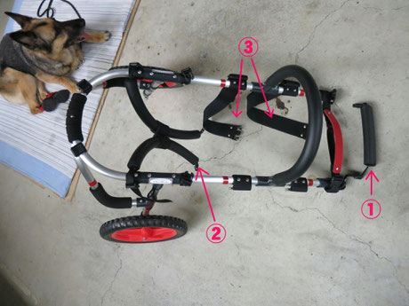 大型犬車椅子　犬の車いす　犬用車椅子　犬 車イス　犬 歩行器　dogkart　車椅子犬　クララワークス　