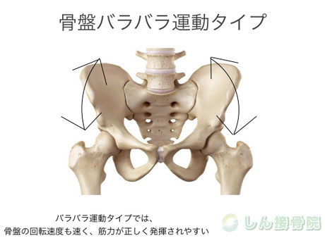 アスリート必見 骨盤を高速に動かす方法 全スポーツ応用可能 しん接骨院 新潟市中央区 北越高校前 アスリート必見 骨盤を高速に動かす方法 全スポーツ応用可能 しん接骨院 新潟市中央区 北越高校前