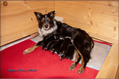 Im Alter von einer Woche
