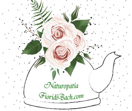 teiera con scritta naturopatia fiori di bach