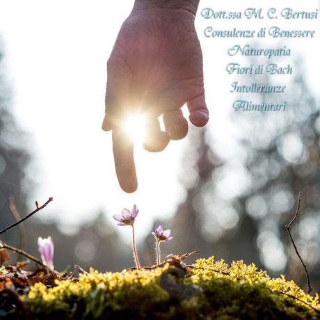 mano-verso-fiore-sfondo-sole