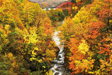 写真提供:魚沼市観光協会