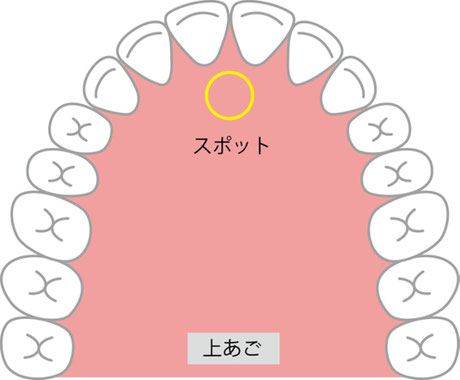 「舌の正しい位置(スポット)」 ※© https://kamata-dental.jp/blog/2941/
