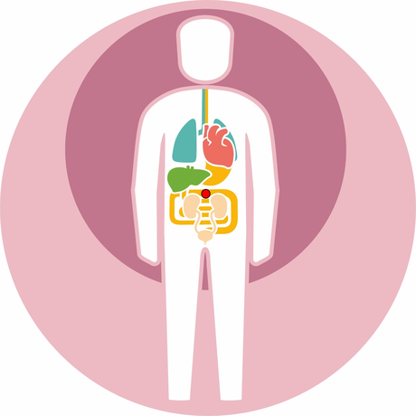 Tumor localisation: abdomen