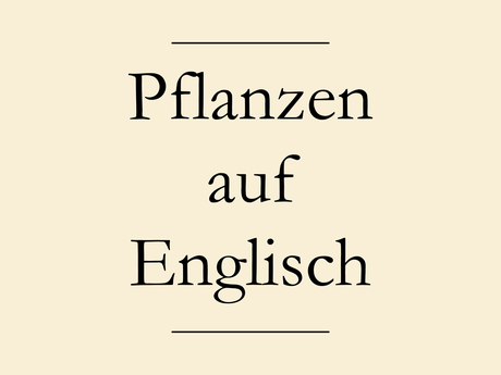 Pflanzen auf Englisch