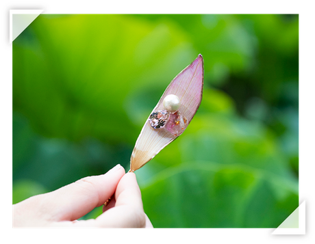 HALotusの本物の蓮の花を使ったアクセサリー