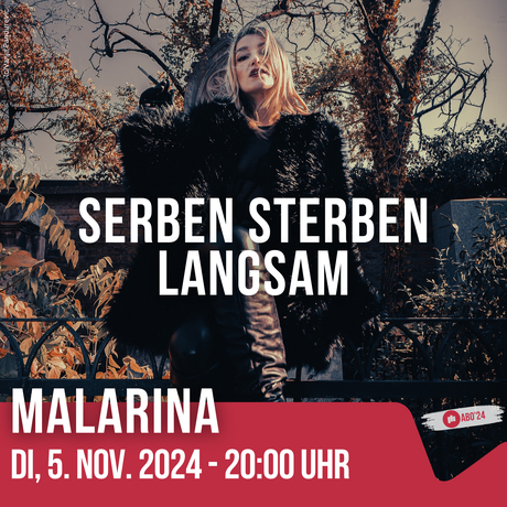Malarina Serben sterben langsam KulturQuadrat Stadtgalerie Mödling November