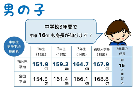 男の子は、中学校3年間で平均16㎝も身長が伸びます！