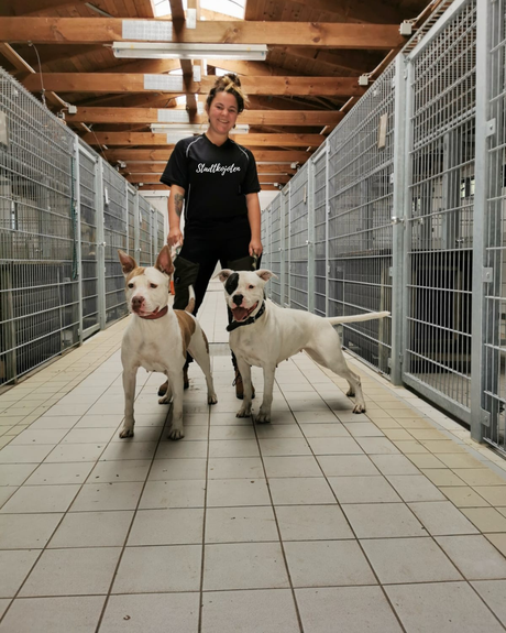 Jede Rasse ist bei mir willkommen - ohne Vorurteile, Verharmlosung oder Verteufelung