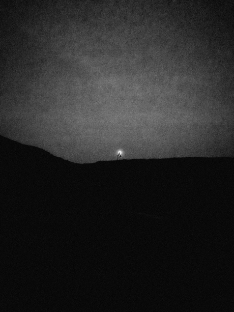 Follow me, 2026 © Swaen