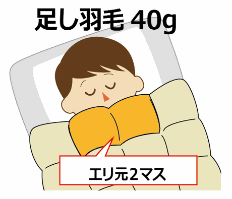 足し羽毛40g説明図