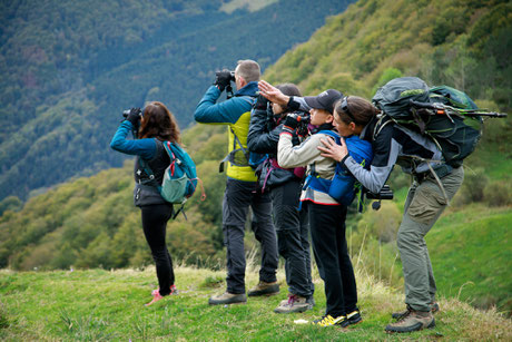 Observation des oiseaux, R. KANN - Couserando Randonnées Nature Couserans Ariège Pyrénées