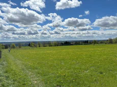 Im Brackvenn (Foto: Dirk Neuß)