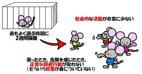 ねずみ君一家