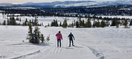 Weitläufiges Ski.Langlaufgebiet, Ideal für Anfänger und Fortgeschrittene...