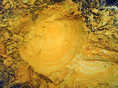 土から顔料を作る Making Pigment Yukio Takamori 土から顔料を作る Making Pigment Yukio Takamori