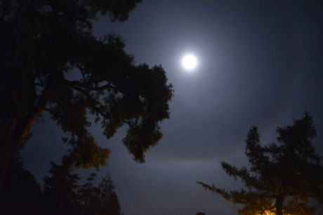 Nacht auf dem Campingplatz... mit einem großen Kreis um den Mond