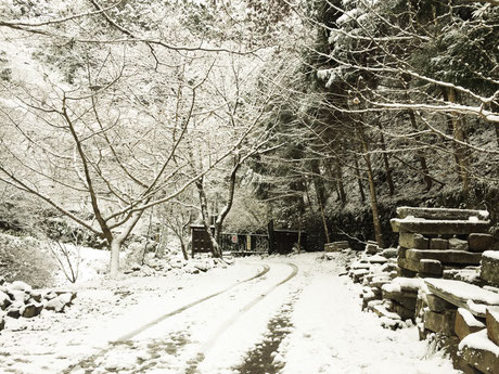 雪の妖精が出てきそうな景色