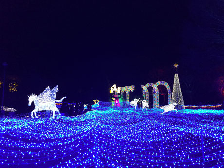 KYOTO ILLUMIEREメインの展望台