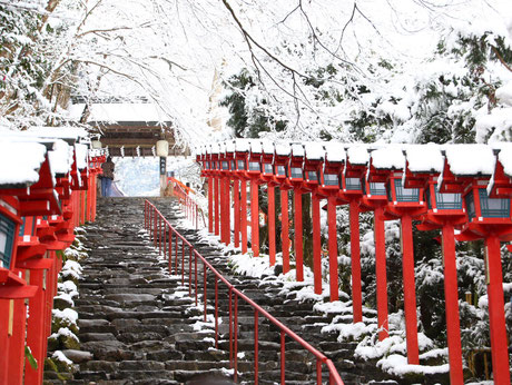 京都観光で人気の貴船神社