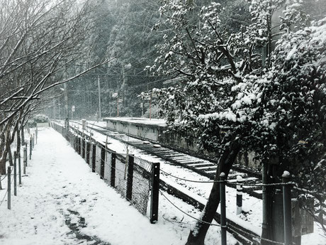 雪で覆われた線路