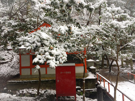 まだまだ続く雪化粧の山道
